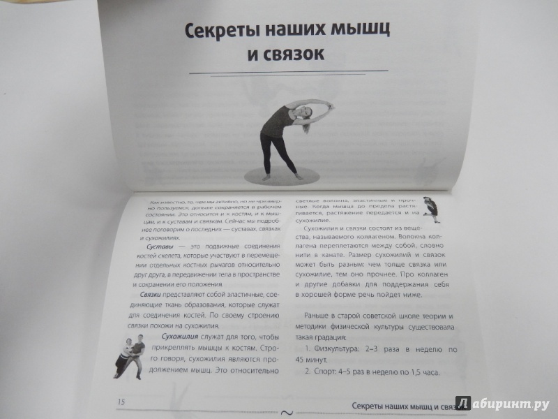 Иллюстрация 18 из 20 для Как укрепить суставы, связки и мышцы - Сергей Салтыков | Лабиринт - книги. Источник: dbyyb