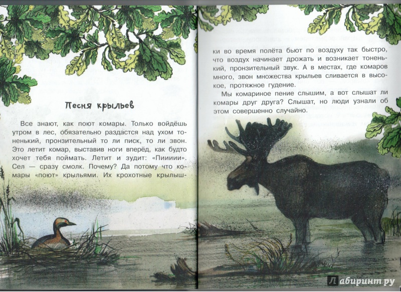 Иллюстрация 9 из 26 для Кто видит ушами? - Виталий Танасийчук | Лабиринт - книги. Источник: Книжный кот