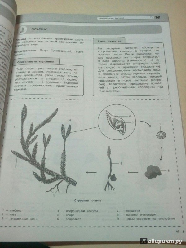 Иллюстрация 44 из 78 для Биология - Мазур, Никитинская | Лабиринт - книги. Источник: Дмитрий