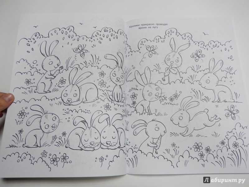 Иллюстрация 4 из 42 для Детеныши животных. Раскраска | Лабиринт - книги. Источник: dbyyb