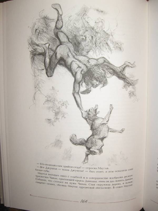 Иллюстрация 16 из 30 для Маугли - Редьярд Киплинг | Лабиринт - книги. Источник: W