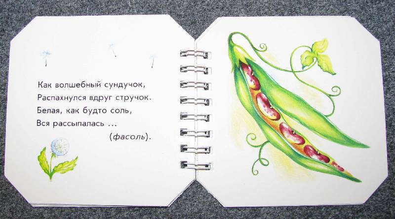 Иллюстрация 10 из 30 для Что в огороде растет - А. Геращенко | Лабиринт - книги. Источник: Апельсинка