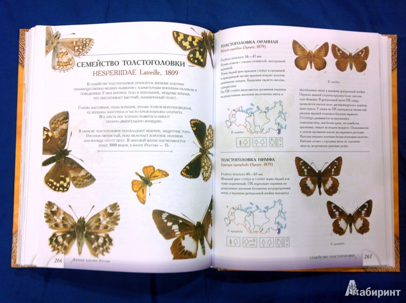 Книга зеленые страницы первые бабочки
