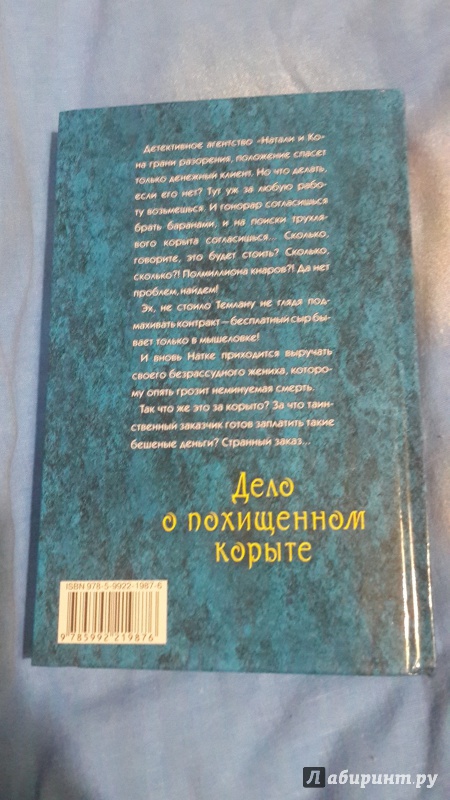 Иллюстрация 10 из 12 для Дело о похищенном корыте - Шелонин, Шелонина | Лабиринт - книги. Источник: Маклаков  Александр