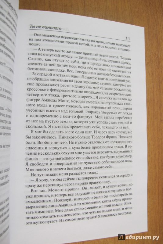 Иллюстрация 19 из 24 для Ты не виноват - Дженнифер Нивен | Лабиринт - книги. Источник: Юхма  Генриетта Станиславовна