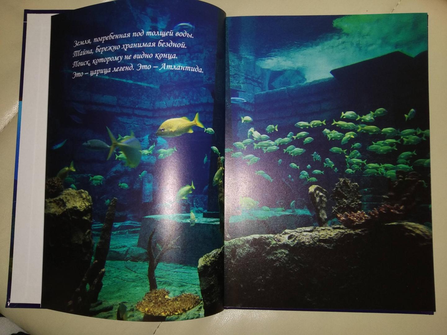 Иллюстрация 31 из 52 для Пропавшая Атлантида - Чианни Ди | Лабиринт - книги. Источник: Золотая рыбка