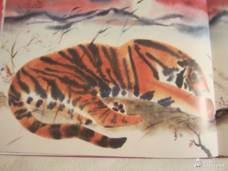 Иллюстрация 28 из 35 для Глупый тигр. Тибетская народная сказка | Лабиринт - книги. Источник: ЮлияО