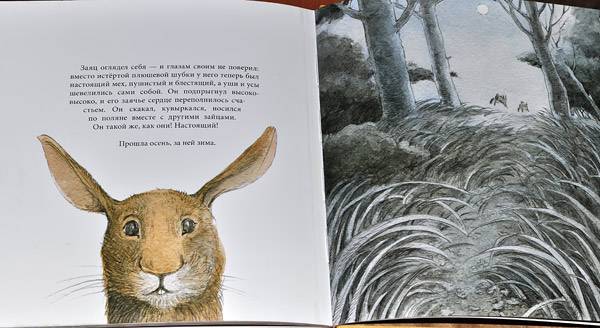 Иллюстрация 59 из 62 для Плюшевый заяц, или Как игрушки становятся настоящими - Марджери Уильямс | Лабиринт - книги. Источник: Солненые зайцы