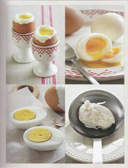 Иллюстрация 13 из 25 для Книга гастронома про яйца и молоко - Антохина, Боннеманн | Лабиринт - книги. Источник: Бисеринка