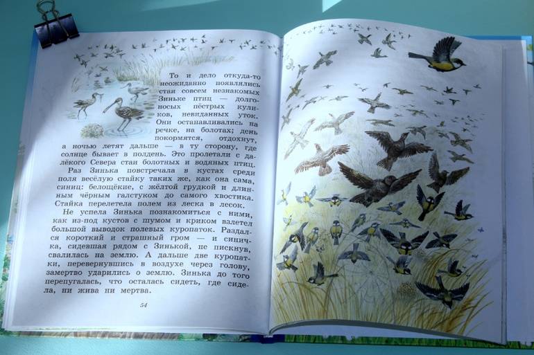 Иллюстрация 41 из 55 для Синичкин календарь - Виталий Бианки | Лабиринт - книги. Источник: Katerina
