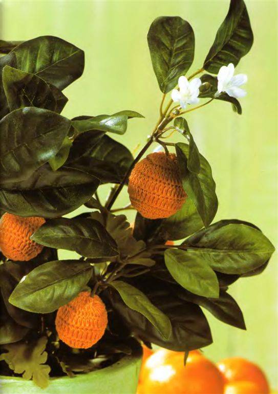 Иллюстрация 15 из 32 для Вязаные цветы и плоды: Цветные схемы. Техника вязания - Сабина Шиделко | Лабиринт - книги. Источник: Юта