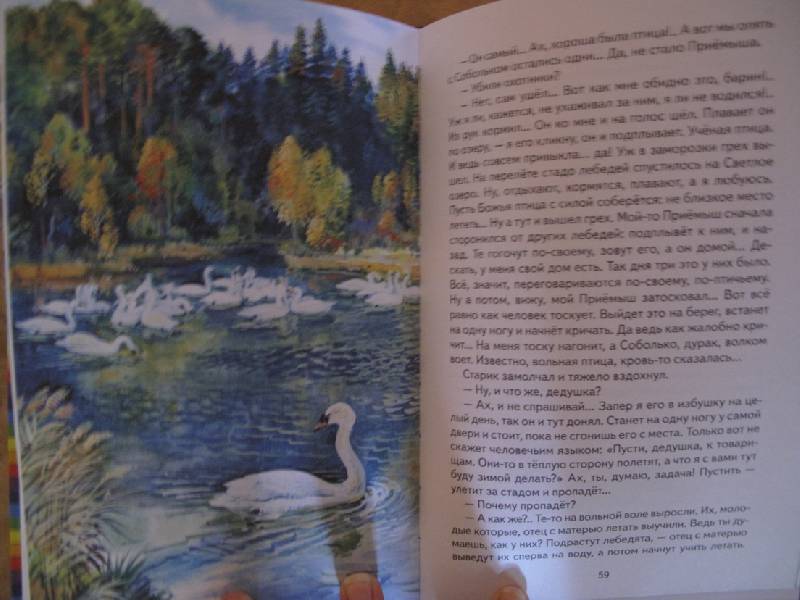 Рассказ серый читать. Иллюстрация к рассказу приемыш мамин Сибиряк. Серая шейка сколько страниц.