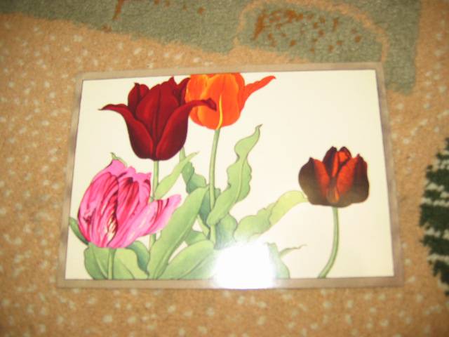 Иллюстрация 21 из 32 для Цветы Конана Танигами. На почтовых открытках | Лабиринт - сувениры. Источник: Мама Ольга