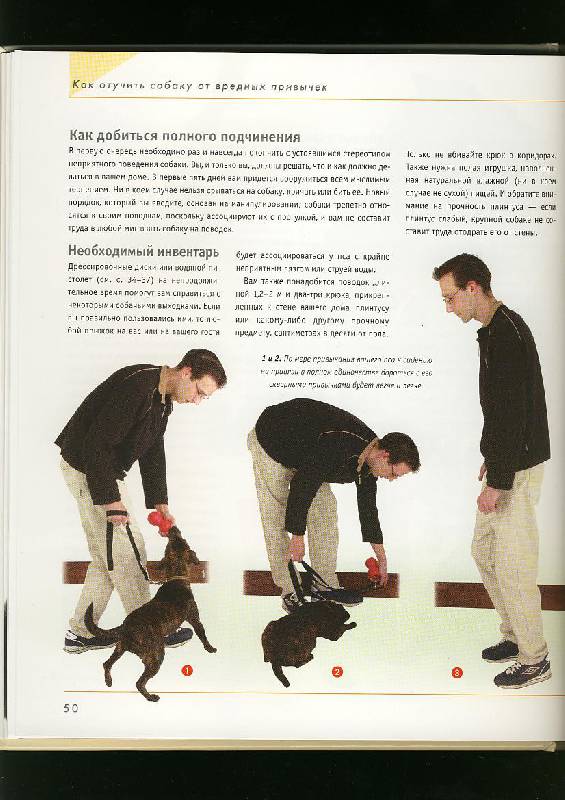Иллюстрация 41 из 42 для Как отучить собаку от вредных привычек - Колин Теннант | Лабиринт - книги. Источник: ЛиС-а