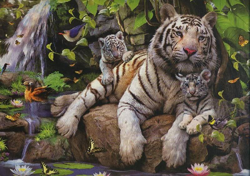 Иллюстрация 4 из 5 для Пазл-1000 "Белые Бенгальские тигры" | Лабиринт - игрушки. Источник: ЛиС-а