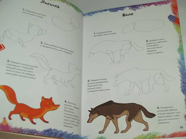Иллюстрация 14 из 39 для Рисуем диких животных | Лабиринт - книги. Источник: Cовушка
