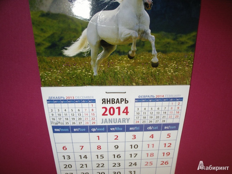 Иллюстрация 6 из 9 для Календарь на 2014 год "Год лошади. Лошадь на фоне гор". Магнитный (20434) | Лабиринт - сувениры. Источник: Tiger.