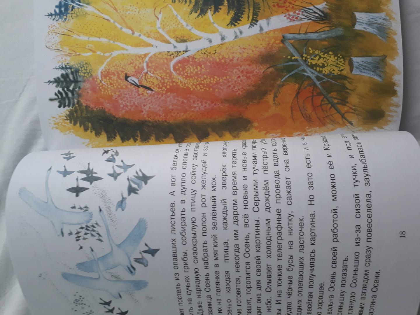 Иллюстрация 127 из 134 для Рассказы о природе для детей - Коваль, Скребицкий, Соколов-Микитов | Лабиринт - книги. Источник: Сафина  Алсу