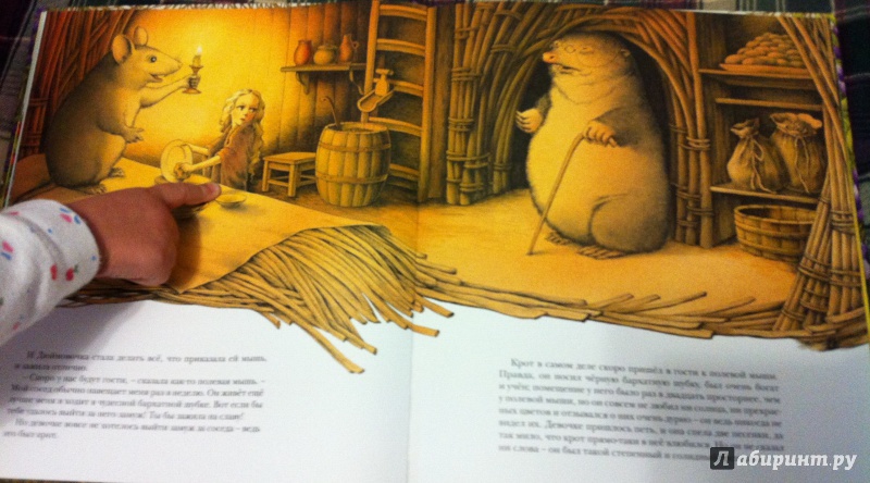 Иллюстрация 26 из 105 для Дюймовочка - Ханс Андерсен | Лабиринт - книги. Источник: Лабиринт