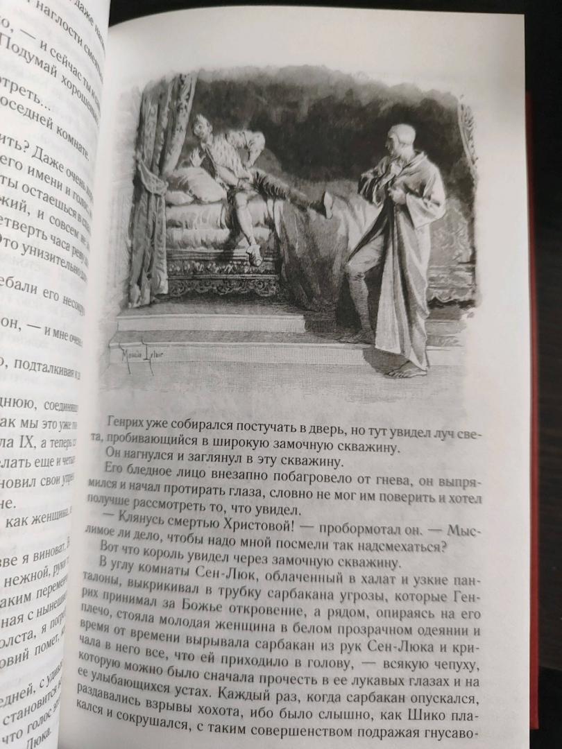 Иллюстрация 32 из 32 для Графиня де Монсоро - Александр Дюма | Лабиринт - книги. Источник: Чистякова Дарья