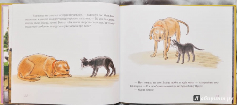 Иллюстрация 40 из 83 для Нуаро и Бланш - Антон Соя | Лабиринт - книги. Источник: Раскова  Юлия