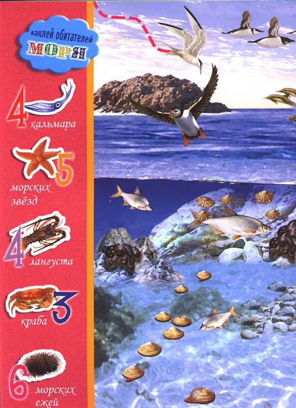 Иллюстрация 6 из 24 для Животные в море и на суше. Живой мир планеты | Лабиринт - книги. Источник: OOlga