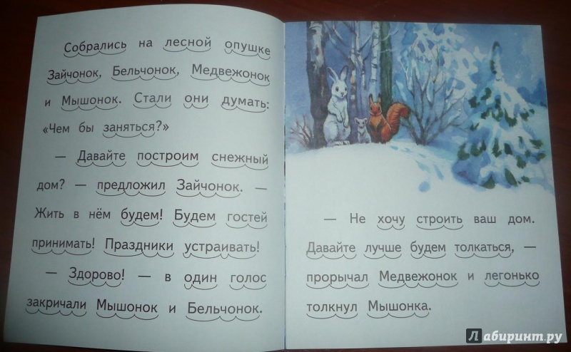 Иллюстрация 3 из 17 для Снежный дом - Елена Ермолова | Лабиринт - книги. Источник: ushasstik