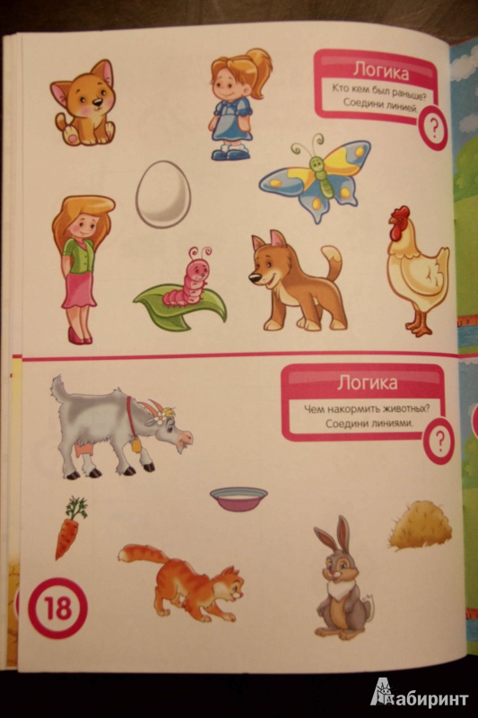 Иллюстрация 17 из 47 для Чтение. Развивающая книга с наклейками для детей с 5-ти лет - С. Разин | Лабиринт - книги. Источник: Vilvarin  Laurea