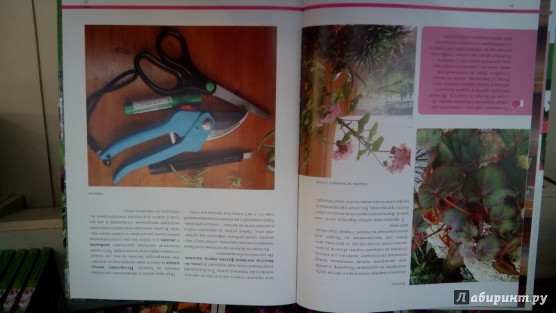 Иллюстрация 4 из 15 для Комнатные растения. Календарь по уходу на каждый месяц - Татьяна Смирнова | Лабиринт - книги. Источник: Мила