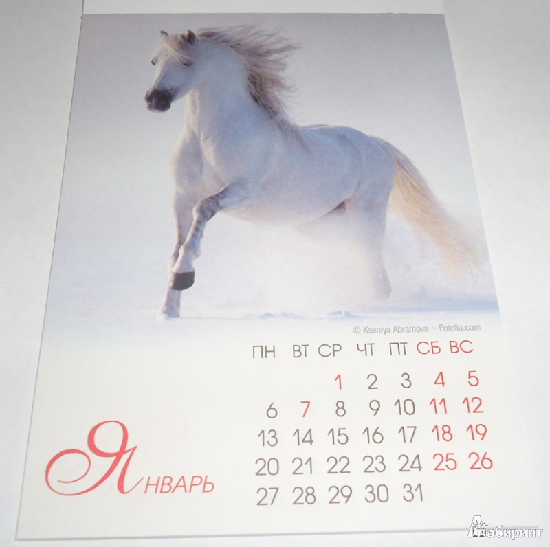 Иллюстрация 3 из 17 для Календарь на магните на 2014 год "Символ года" | Лабиринт - сувениры. Источник: Голубкина  Оксана