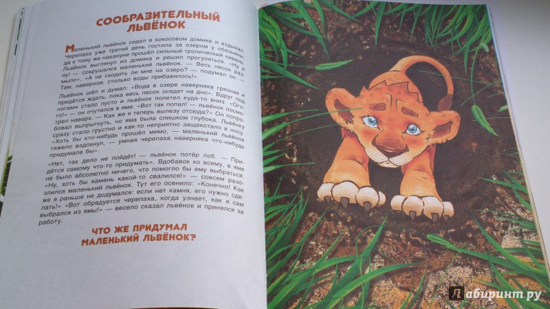 Иллюстрация 21 из 31 для Большие открытия маленького львенка - Владимир Богат | Лабиринт - книги. Источник: Надежда