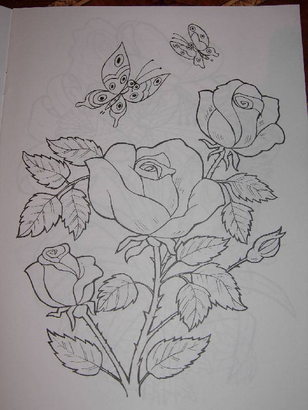 Иллюстрация 14 из 16 для Цветы и бабочки - Татьяна Коваль | Лабиринт - книги. Источник: Iwolga