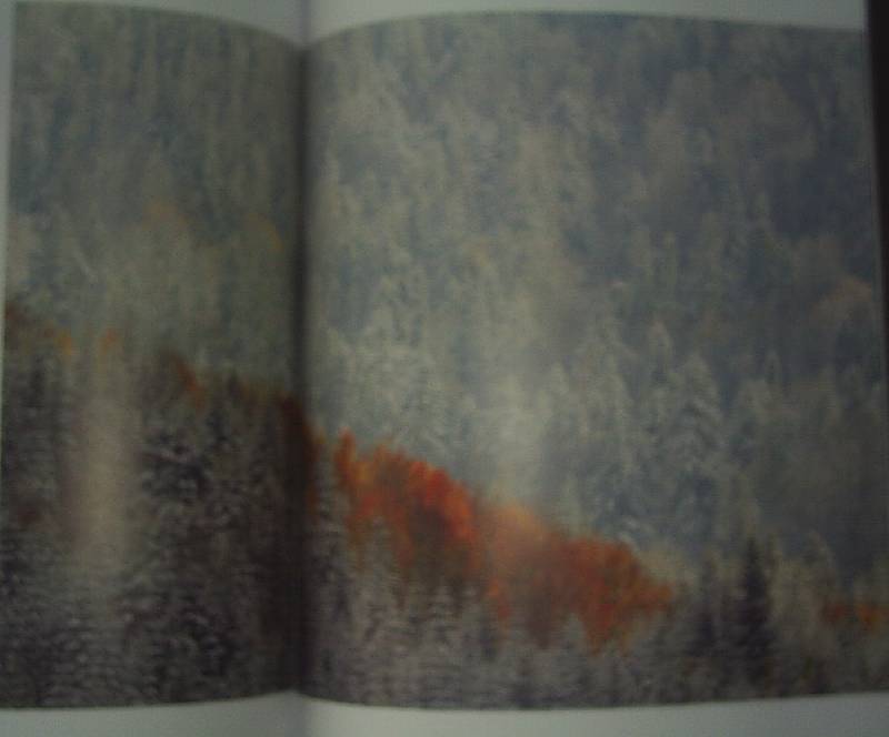 Иллюстрация 8 из 13 для Дикая природа. Фотографии, покорившие мир | Лабиринт - книги. Источник: АлЮр