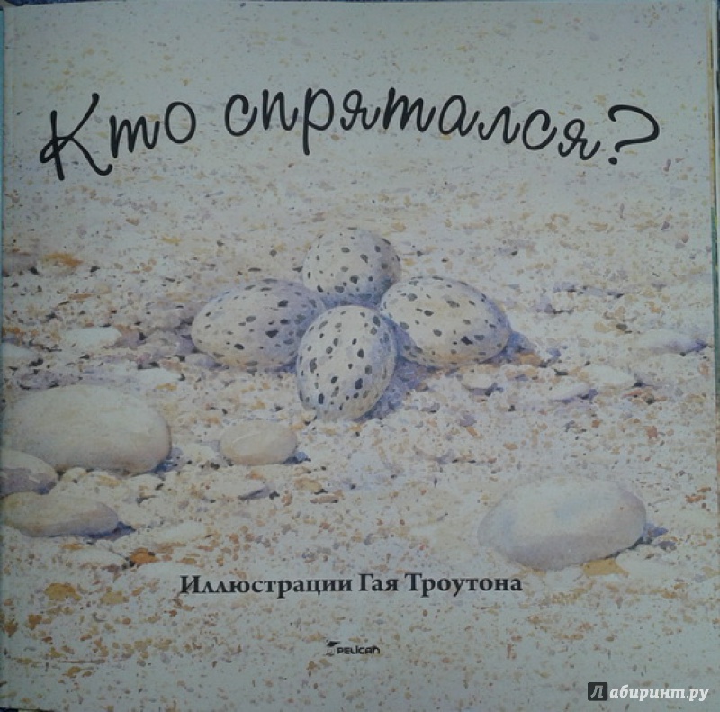 Иллюстрация 18 из 25 для Кто спрятался? | Лабиринт - книги. Источник: Алина Казаева