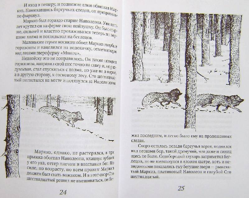 Иллюстрация 7 из 23 для Недопесок - Юрий Коваль | Лабиринт - книги. Источник: BOOKвочка