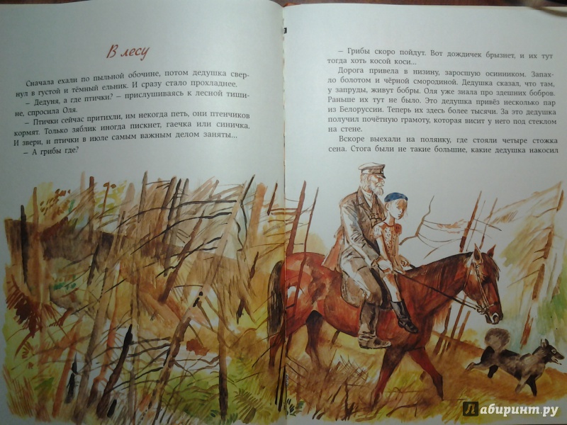 Иллюстрация 40 из 68 для Мой дедушка - егерь - Юрий Грибов | Лабиринт - книги. Источник: Olga