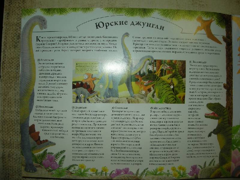 Иллюстрация 7 из 10 для Динозавры - Дугал Диксон | Лабиринт - книги. Источник: Мартынова  Анна Владимировна