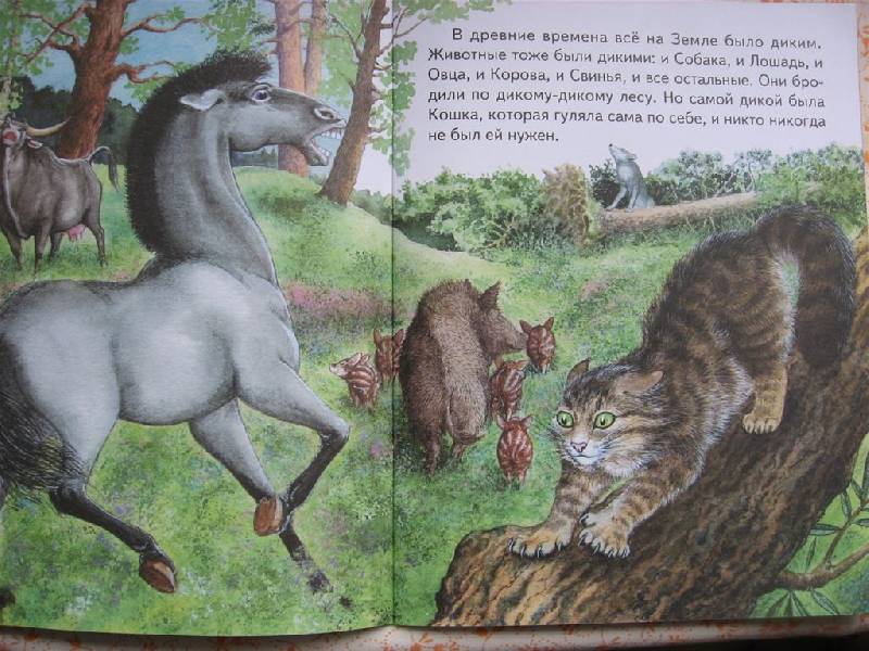 Иллюстрация 5 из 19 для Кошка, которая гуляла сама по себе - Редьярд Киплинг | Лабиринт - книги. Источник: Юта
