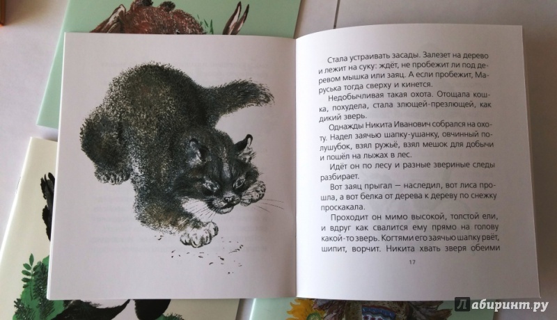 Иллюстрация 16 из 21 для Комплект "Книжки о зверятах" (4 книги) - Евгений Чарушин | Лабиринт - книги. Источник: Бог в помощь