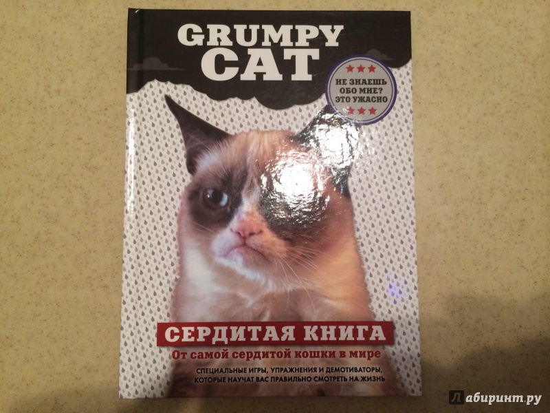 Иллюстрация 13 из 20 для Grumpy Cat. Сердитая книга от самой сердитой кошки в мире | Лабиринт - книги. Источник: terramisu