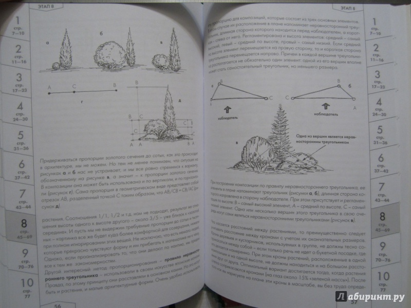 Иллюстрация 17 из 18 для 10 этапов проектирования малого сада - Александр Сапелин | Лабиринт - книги. Источник: A. Fragaria