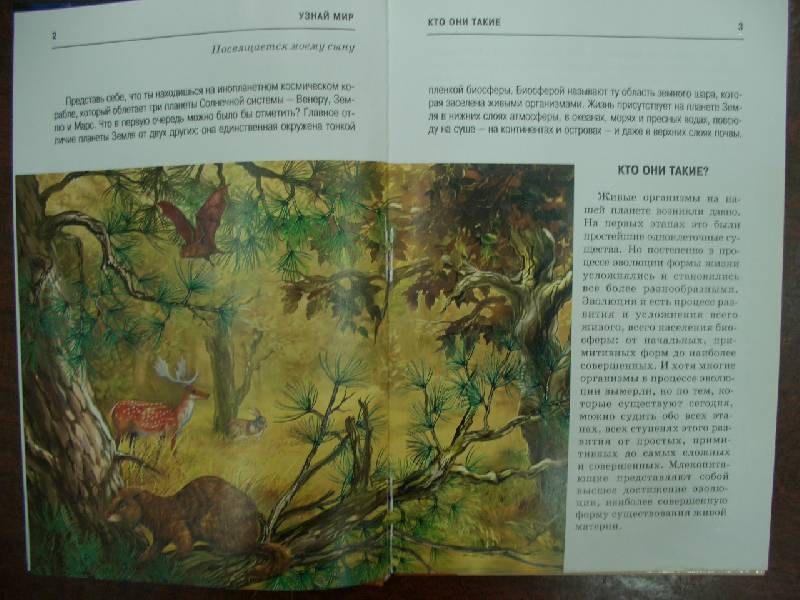 Иллюстрация 2 из 32 для Млекопитающие. Школьный путеводитель - Марк Махлин | Лабиринт - книги. Источник: кареглазка