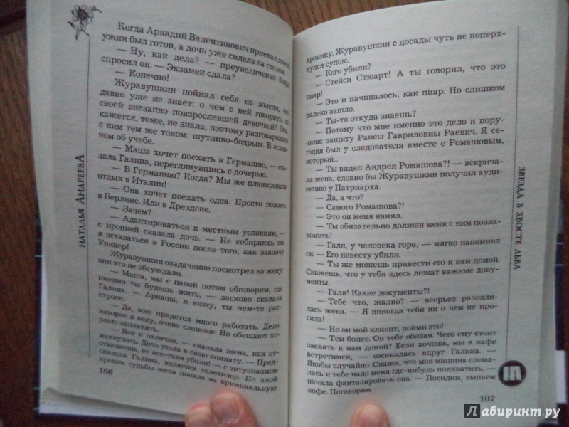 Иллюстрация 12 из 28 для Звезда в хвосте Льва - Наталья Андреева | Лабиринт - книги. Источник: Kirill  Badulin