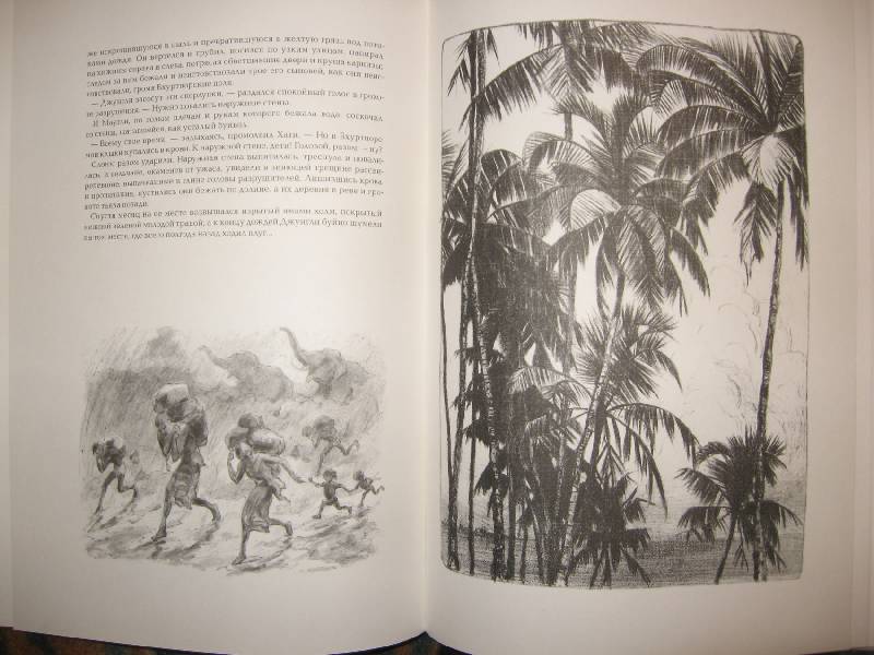 Иллюстрация 21 из 30 для Маугли - Редьярд Киплинг | Лабиринт - книги. Источник: W