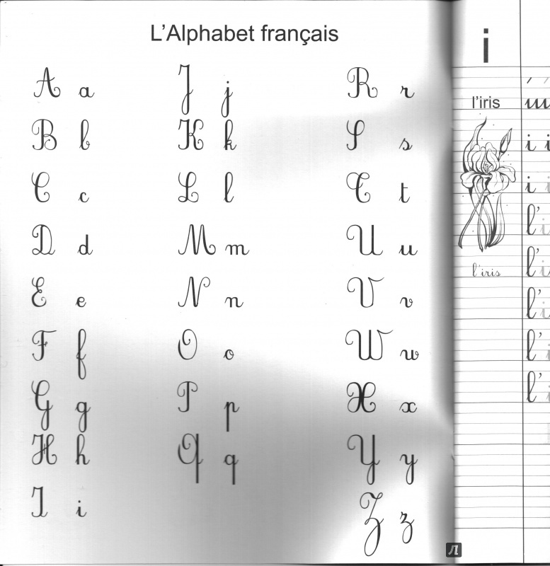 Иллюстрация 2 из 19 для Французский язык. Прописи для правшей и левшей - Бандикян, Тухулова | Лабиринт - книги. Источник: Eugenie