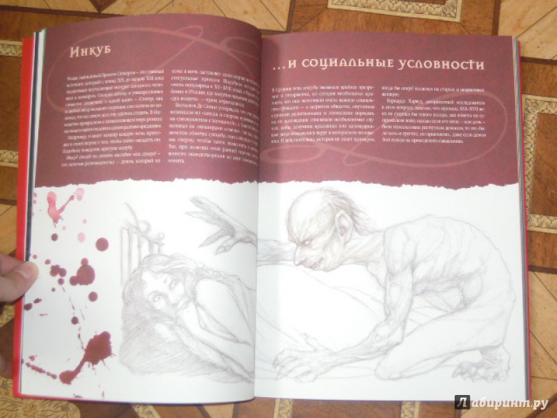 Иллюстрация 7 из 63 для Вампиры. Магический мир - Нестор Баррон | Лабиринт - книги. Источник: Iwolga