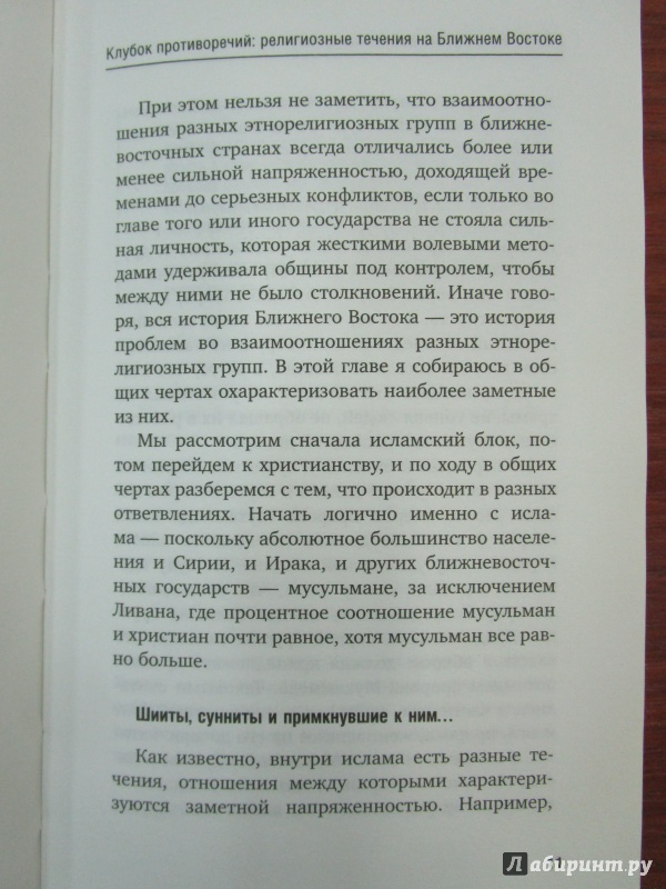 Иллюстрация 17 из 19 для Ближний Восток. Вечный конфликт - Семен Багдасаров | Лабиринт - книги. Источник: Немчинов  Евгений Вячеславович