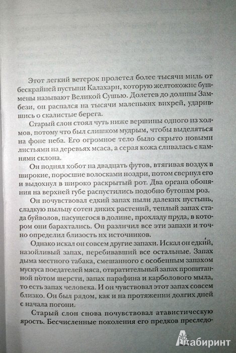 Иллюстрация 5 из 45 для Леопард охотится в темноте - Уилбур Смит | Лабиринт - книги. Источник: Леонид Сергеев