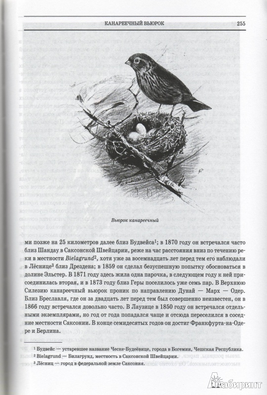 Иллюстрация 20 из 42 для Животный мир. Его быт и среда. В 3-х томах - Вильгельм Гааке | Лабиринт - книги. Источник: Трубадур