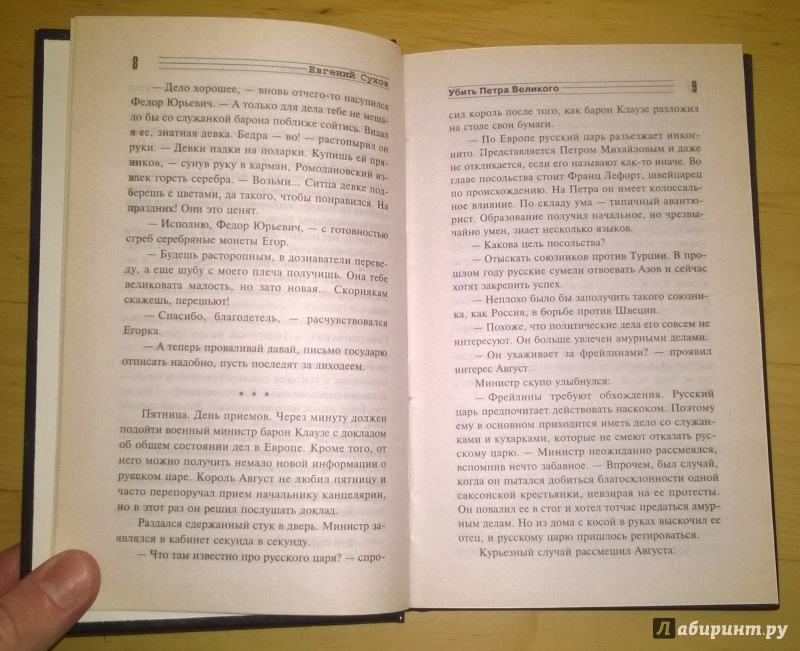 Иллюстрация 6 из 6 для Убить Петра Великого - Евгений Сухов | Лабиринт - книги. Источник: bigor